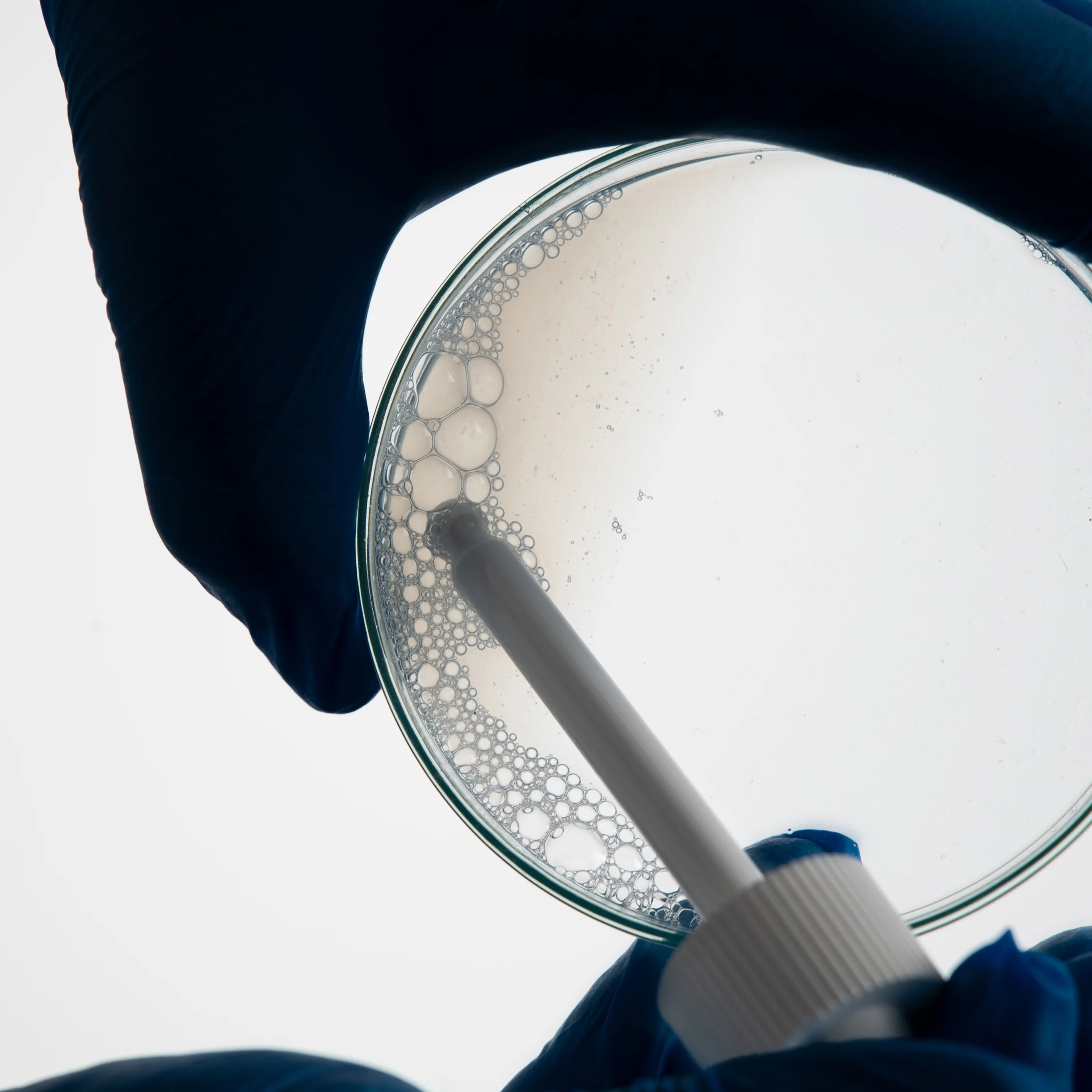Algae Plump Serum - Image 5