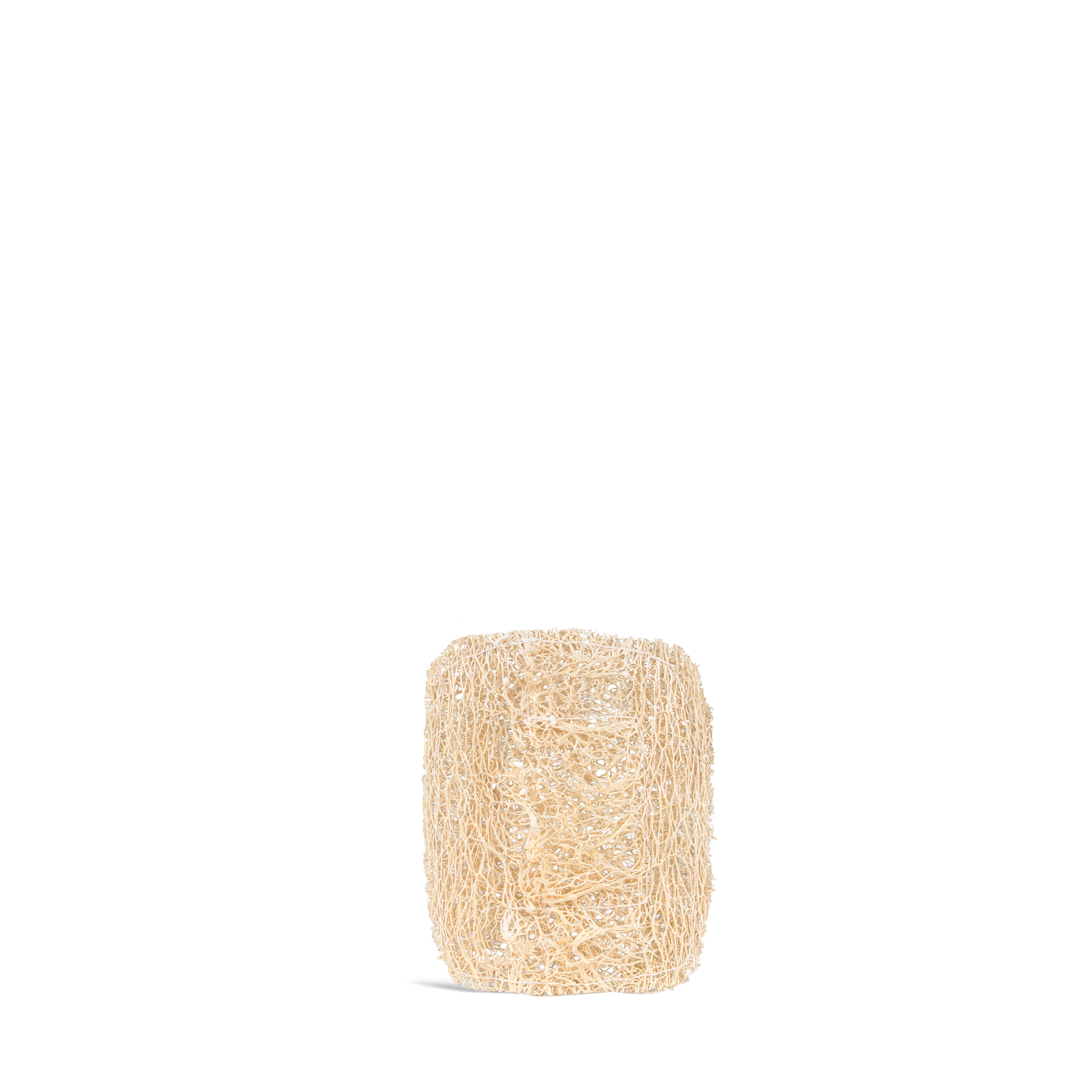 Luffa