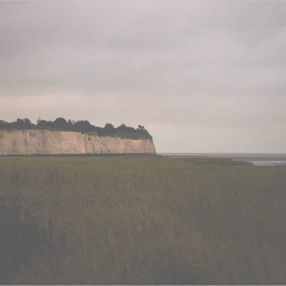 Bladderwrack + Pegwell Body Wash - Image 3